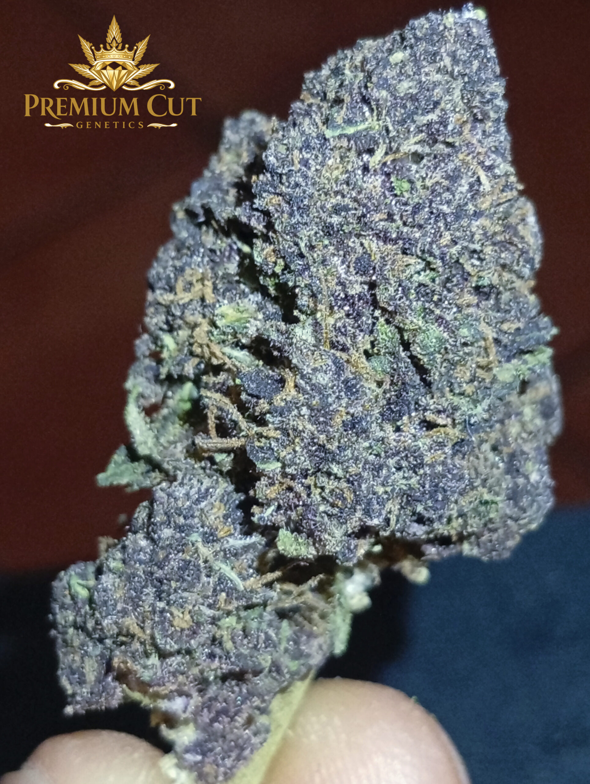 Fleur Purplematic CBD